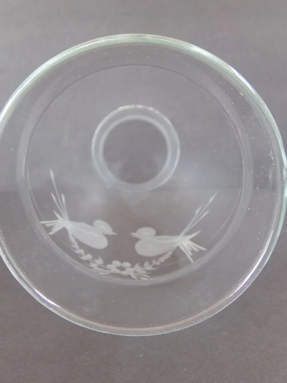Hurricane Lamp Globe Oil Chimney Clear Etched Birds Replacement Glass Cover